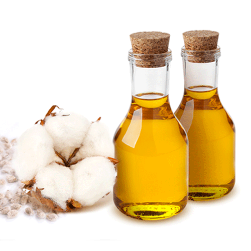 COTTON SEED OIL